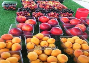  at Fruit Dock in Traverse City