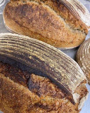   at Pavement Coffee Co in Banbury