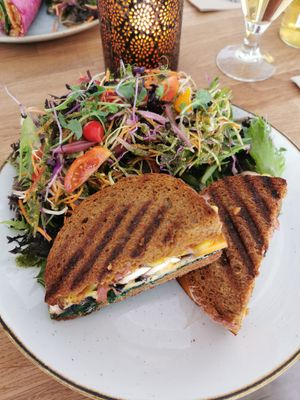 Panini at Den Glade Gulerod in Ringkobing