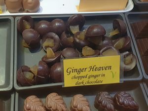 Ginger at The Chocolate Mill in Mount Franklin