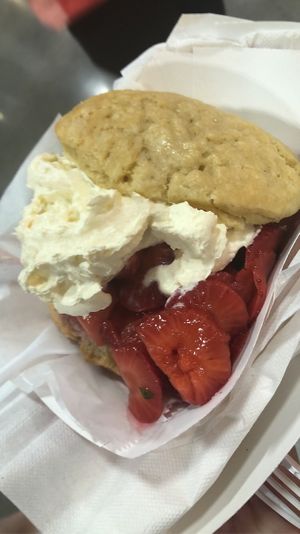 Strawberry shortcake   at Seasoned Green in Tampa