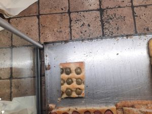 Olive Foccacia at Il Mulino in Acqui Terme