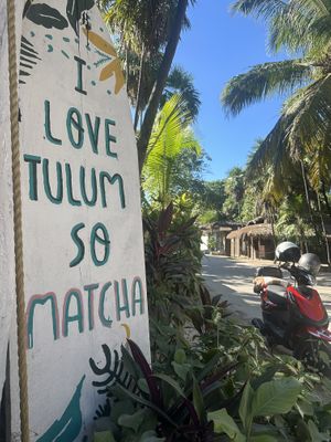   at Matcha Mama in Tulum