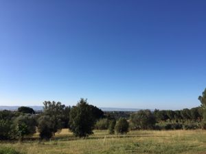 View from the terrace at Rosa dei Venti in Caltagirone
