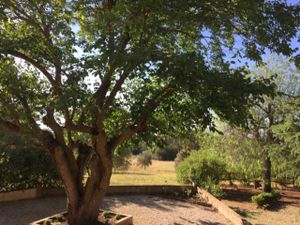 Another view from the terrace at Rosa dei Venti in Caltagirone