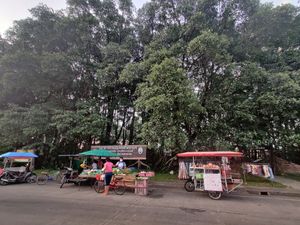 Mangrove swamp across the street at Youta Jay in Ranong