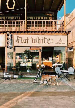 Front  at Flatwhite Cafe in Dahab