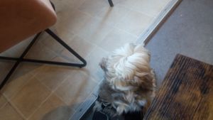  at Cafe Glow  in Edinburgh