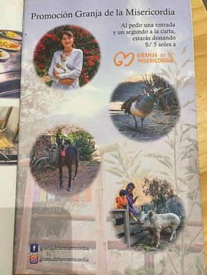 If you purchase a starter and entre, they donate 5 soles to this animal shelter   at ConSuLado Vegano in Lima