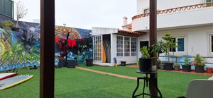 Backyard at Surf Yoga Portugal in Ericeira