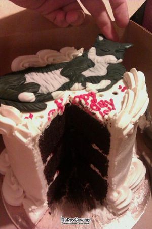 Vegan birthday cake. at Bleeding Heart Bakery in Chicago