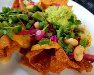 Wonton Nachos at Botanical Plant-Based Fare in Charlottesville