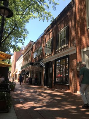   at Botanical Plant-Based Fare in Charlottesville