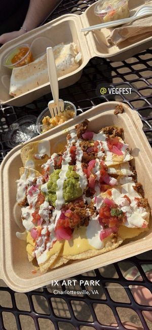 Nachos, corn salad, ceviche, and bean burrito  at Botanical Plant-Based Fare in Charlottesville