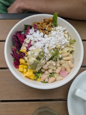 Rainbow Terra Salad at Botanical Plant-Based Fare in Charlottesville