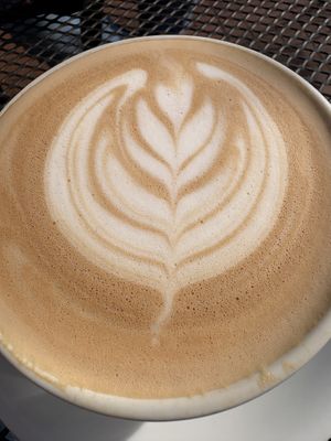 Date syrup latte 🤍🌱  at Botanical Plant-Based Fare in Charlottesville