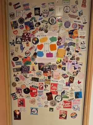 Stickers on toilet door at Enfants Terribles Café in Rennes