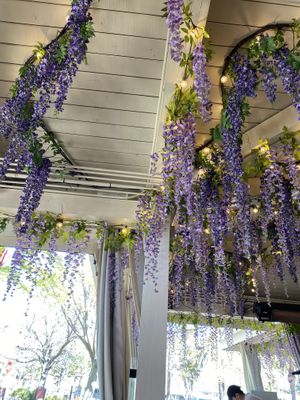 Outdoor ambience   at Son and Garden in Menlo Park