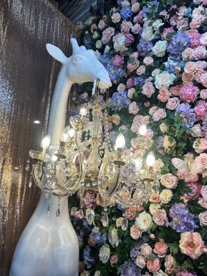 Photo area  at Son and Garden in Menlo Park