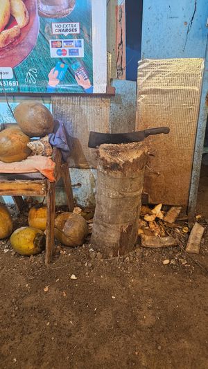  at Don Sanduchito in Puerto Villamil