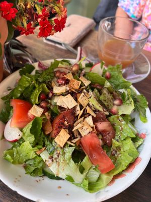 Lebanese salad with fried bread at Comptoir Libanais - South Kensington in South West London