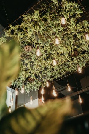  at Twenty Two in Dresden