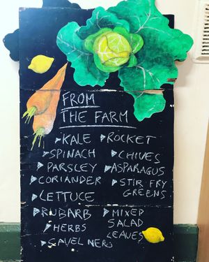 Penny's Farm amazing seasonal local produce  at Super Natural Food Market in Dublin