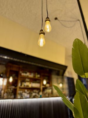 naked lamps  at Meet Vegano in Malaga