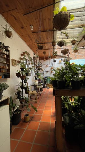   at El Jardín de Jardín in Jardin