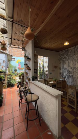   at El Jardín de Jardín in Jardin