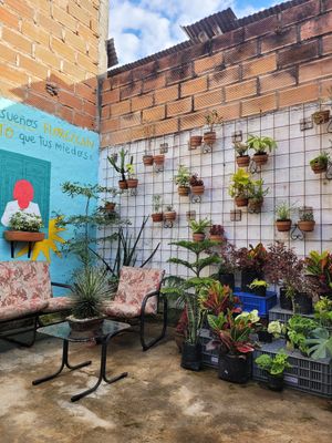 mas plantas at El Jardín de Jardín in Jardin