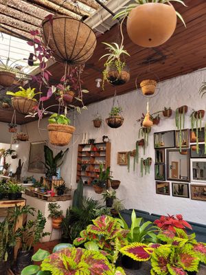 precioso at El Jardín de Jardín in Jardin