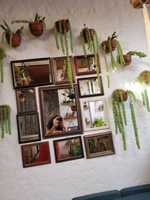 Wow at El Jardín de Jardín in Jardin