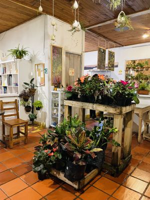 Inside  at El Jardín de Jardín in Jardin