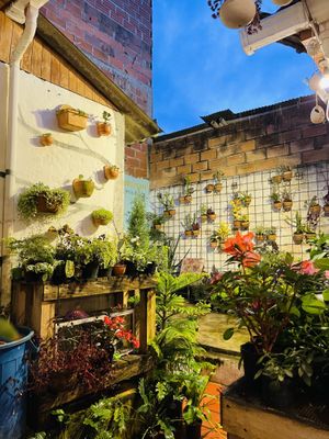 Inside   at El Jardín de Jardín in Jardin