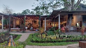 View from the garde   at Alchemy in Ubud