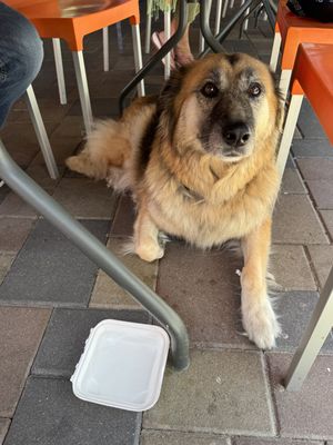   at Snooze in La Jolla