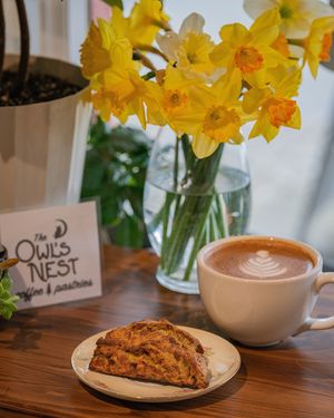  at The Owl's Nest in Olympia