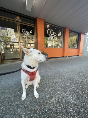 No pets inside but they do have a few outdoor tables   at The Owl's Nest in Olympia