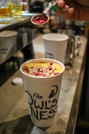  at The Owl's Nest in Olympia