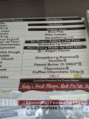 Vegan options on 5/21/22 at Bruster's Real Ice Cream in Aptos