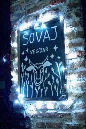 cool sign at Sovaj Veg Bar in Recife