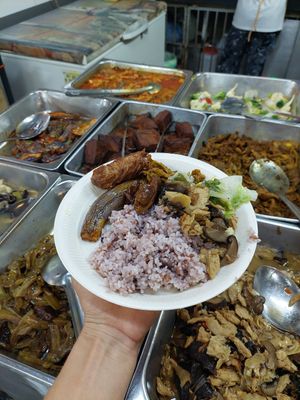 Brown rice to start with! at Teratai Vegetarian House 蓮池素食 in Kuala Lumpur
