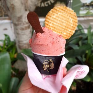  at Anita Gelato in West End