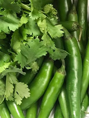 nothing but fresh ingredients, no artificial flavors, no sugar, no flour, nuts or chocolate in any of our salsas! at Salsa Street Grill in Madison