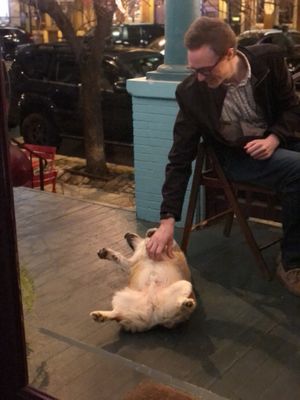 Bonus belly rubs on porch   at The Verandah Kitchen in Baltimore