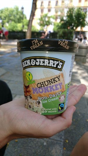 Vegan Chunky Monkey 6.99€ at El Corte Ingles in Sevilla