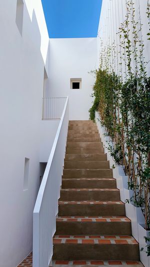 Ethos  at Ethos Vegan Suites in Santorini