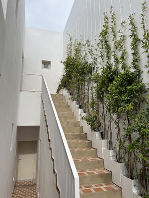   at Ethos Vegan Suites in Santorini