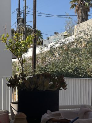View from the patio, the bakery has vegan pies  at Ethos Vegan Suites in Santorini